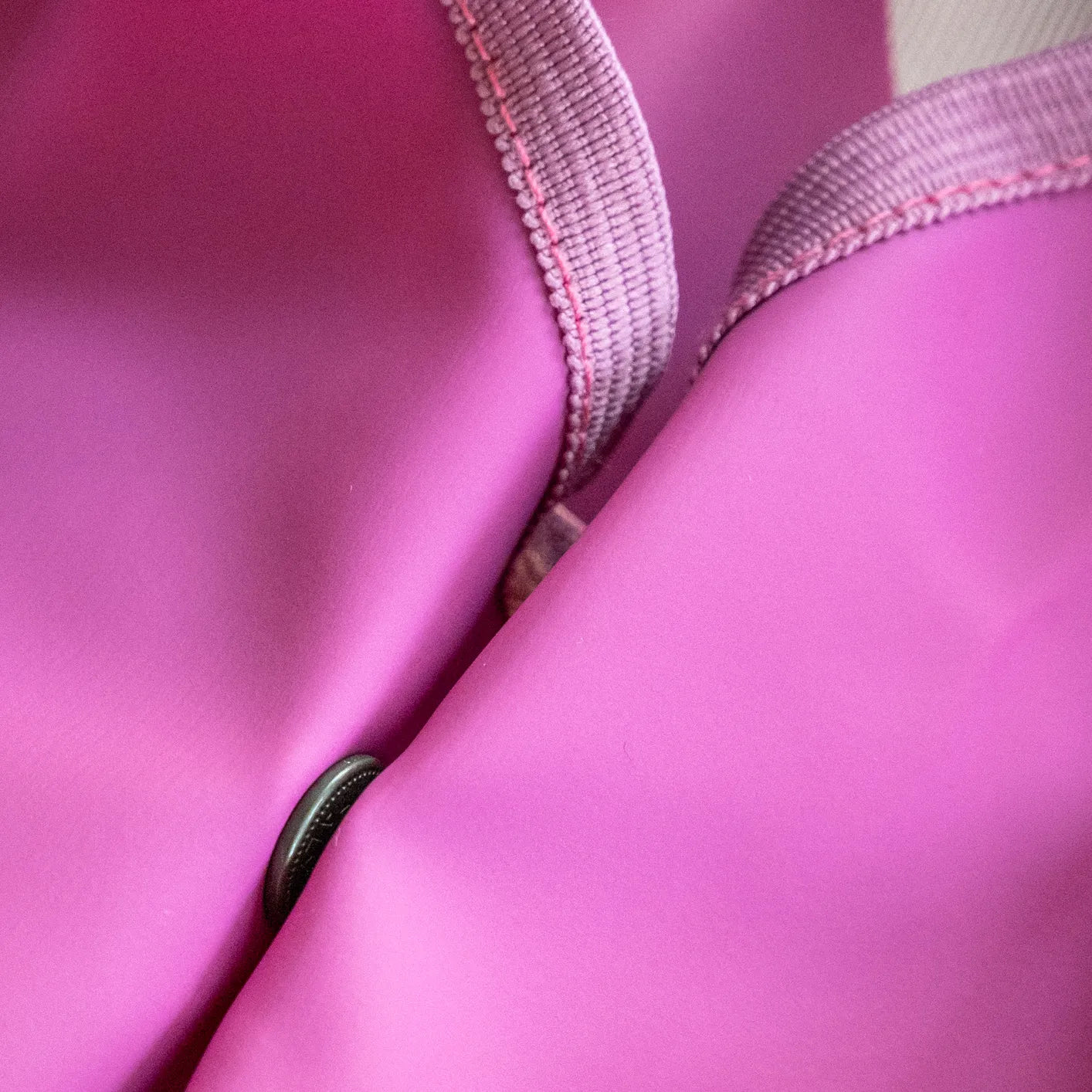 Pink Pony